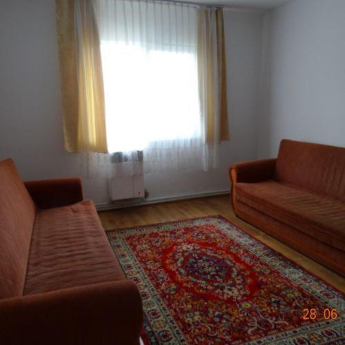 Papp Apartman Sovata Exteriér fotografie